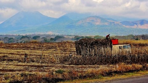 Der blaue Hut – El Salvador