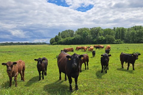 Wanderung, Nachhaltigkeit