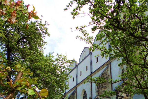 Domgarten Halle