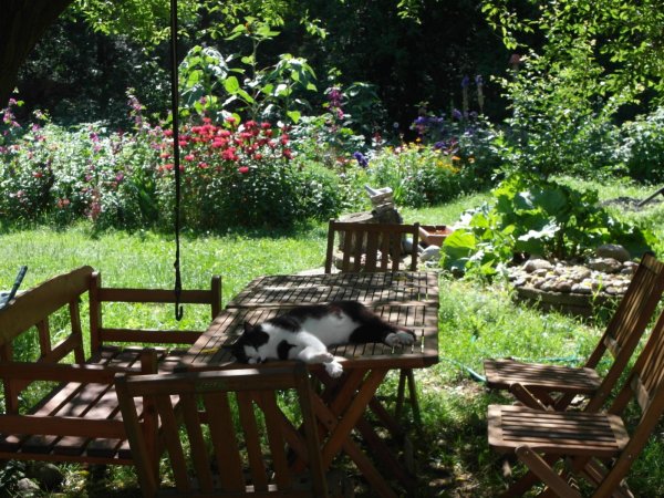 Garten mit Sitzecke